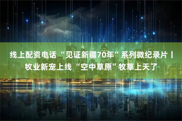 线上配资电话 “见证新疆70年”系列微纪录片丨牧业新宠上线 “空中草原”牧草上天了
