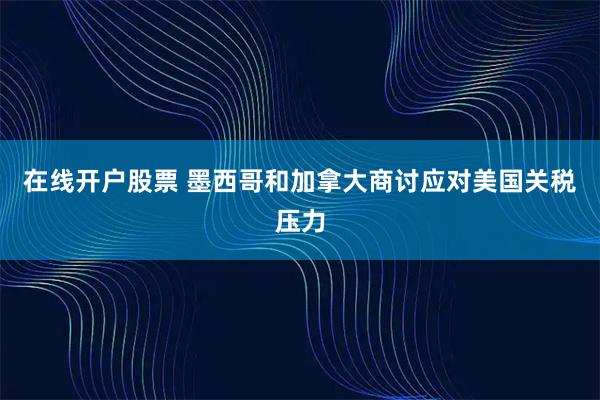在线开户股票 墨西哥和加拿大商讨应对美国关税压力
