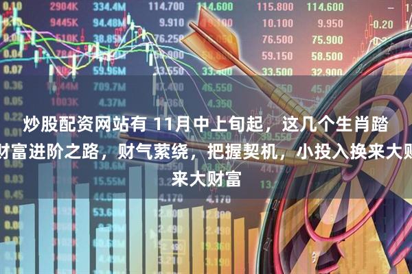 炒股配资网站有 11月中上旬起，这几个生肖踏上财富进阶之路，财气萦绕，把握契机，小投入换来大财富